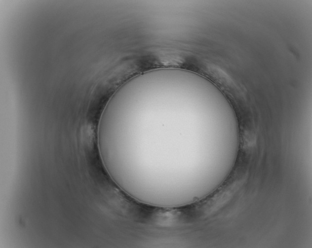 X0000113210321200909171540