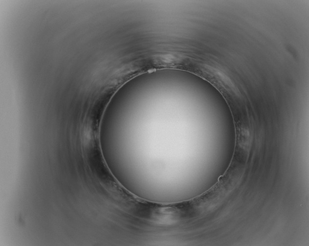 X0000113210324200909171540