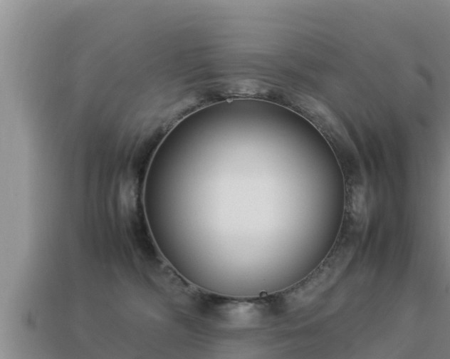 X0000113210326200909171539