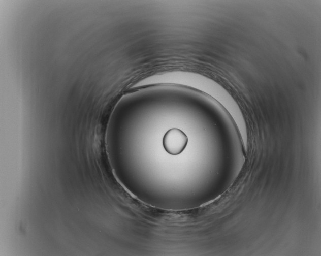 X0000113210328200909171539