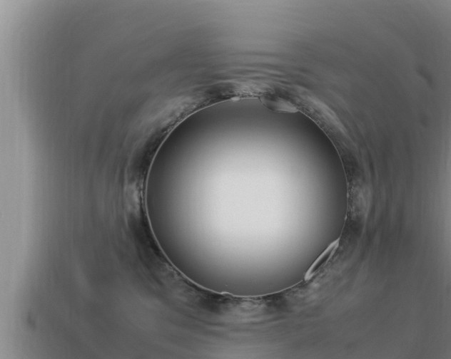 X0000113210329200909171539