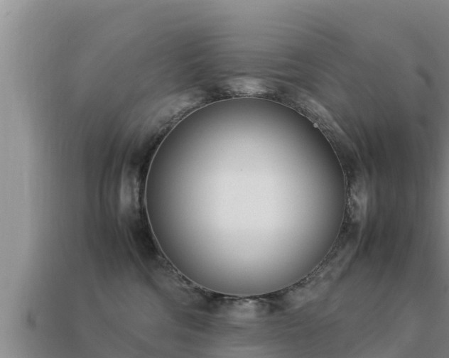 X0000113210330200909171539