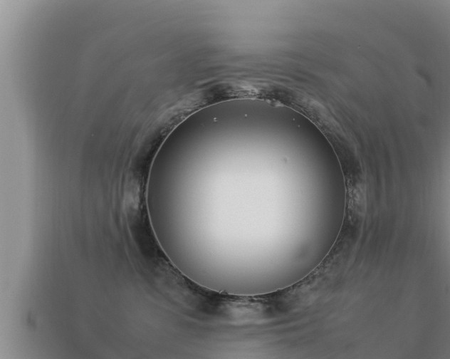 X0000113210331200909171539