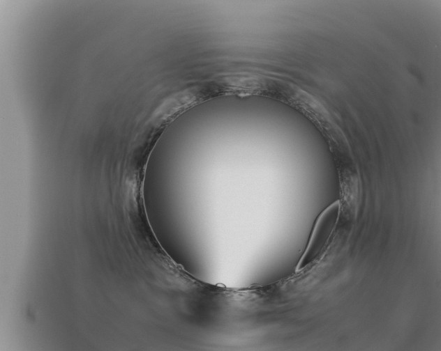 X0000113210333200909171539