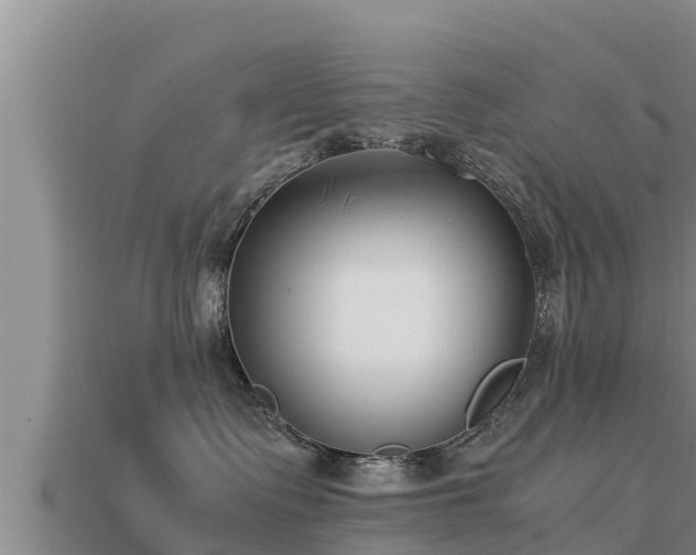 X0000113210335200909171539