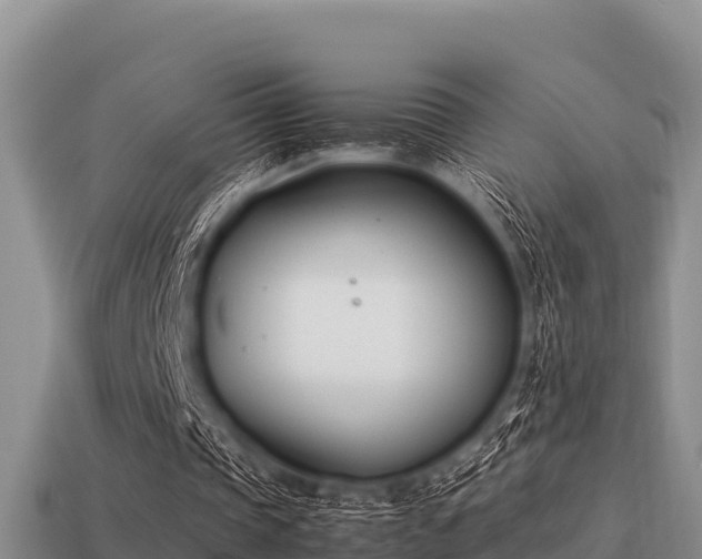 X0000113210337200909171539