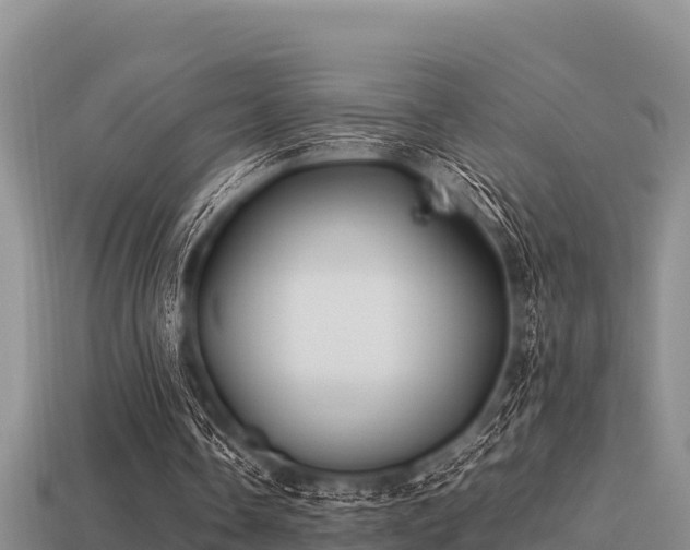 X0000113210338200909171539