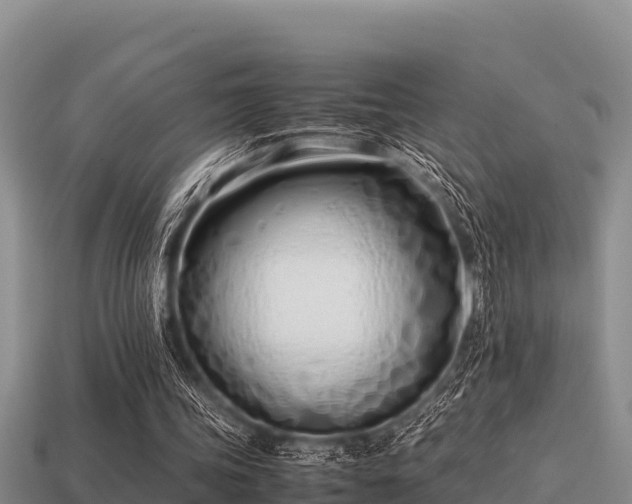 X0000113210339200909171539