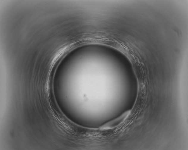 X0000113210340200909171539