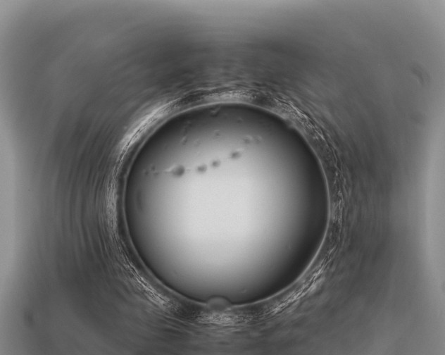 X0000113210341200909171539