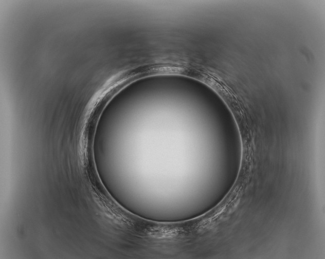 X0000113210343200909171539