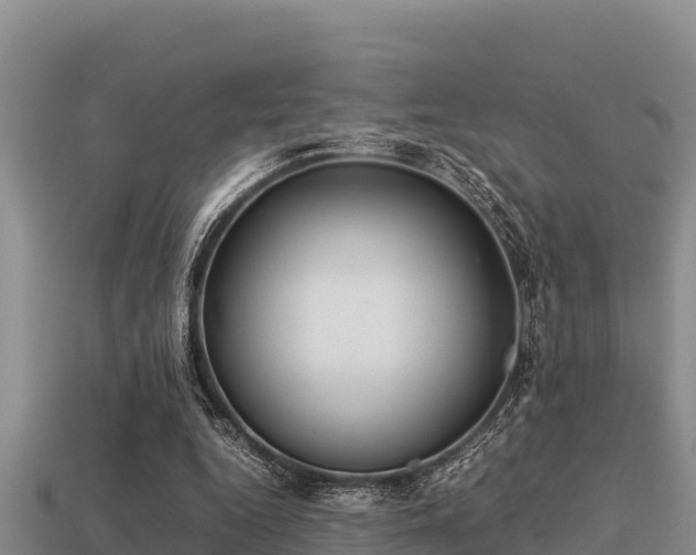 X0000113210344200909171539