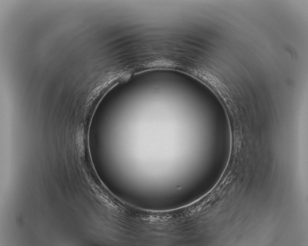 X0000113210345200909171539