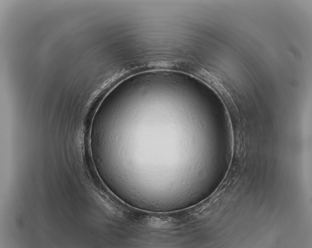 X0000113210346200909171539