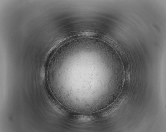 X0000113210347200909171539