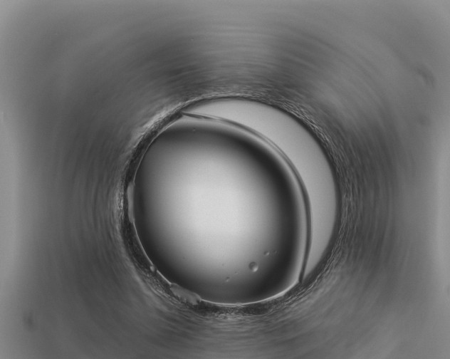 X0000113210348200909171539