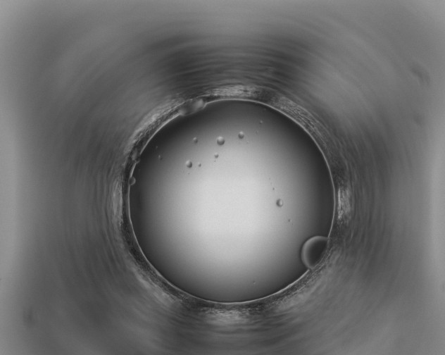 X0000113210349200909171539