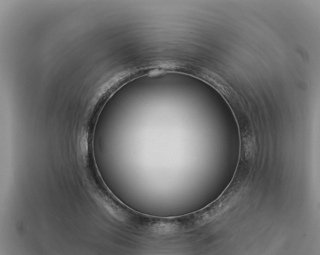 X0000113210350200909171539