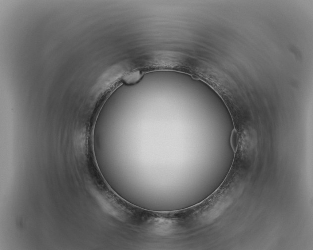 X0000113210352200909171539