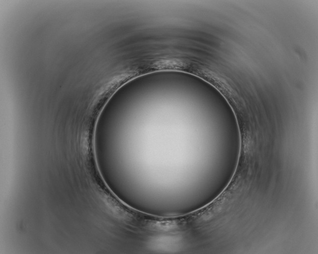 X0000113210353200909171539