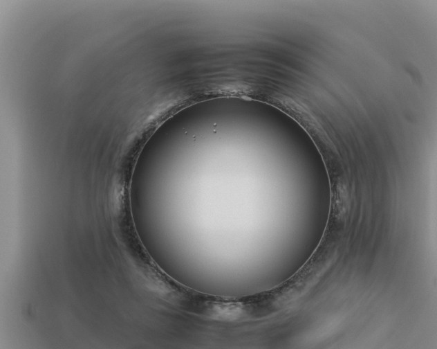 X0000113210355200909171539