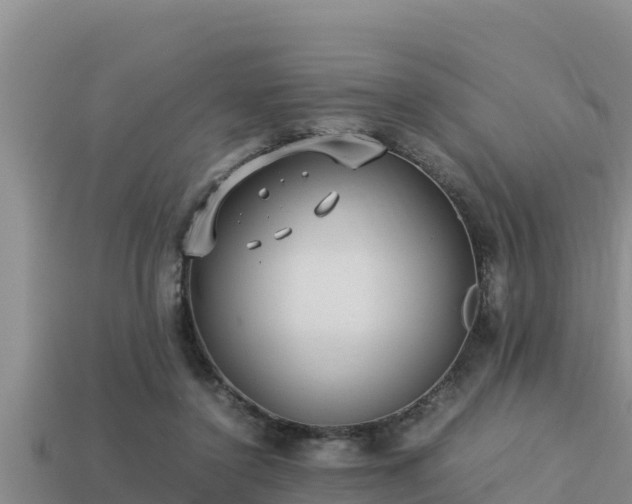 X0000113210356200909171539