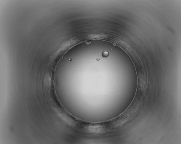 X0000113210357200909171539