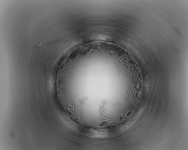 X0000113210359200909171539