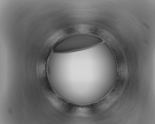 X0000113210360200909171539