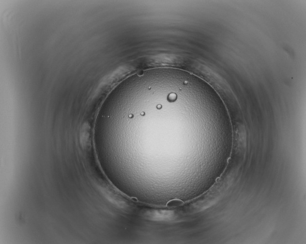 X0000113210361200909171539