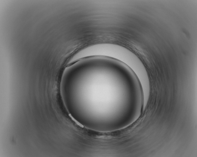 X0000113210362200909171539