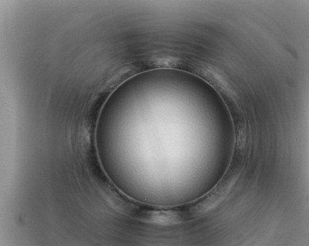 X0000113210363200909171539