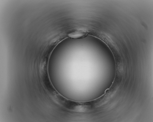 X0000113210364200909171539