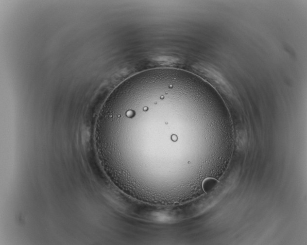 X0000113210365200909171539