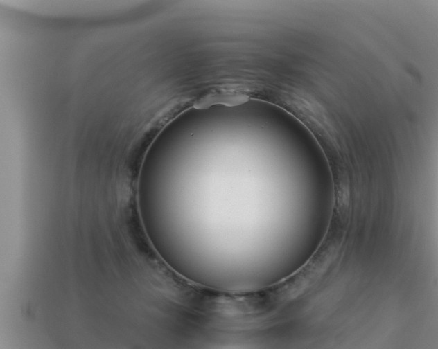 X0000113210367200909171539