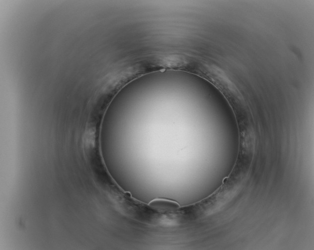 X0000113210368200909171539