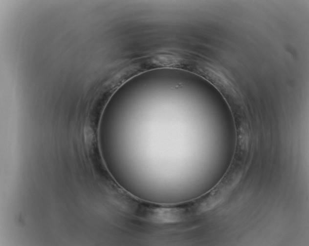 X0000113210371200909171539