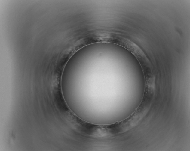 X0000113210372200909171539