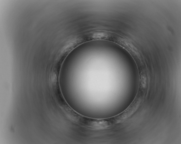 X0000113210375200909171539