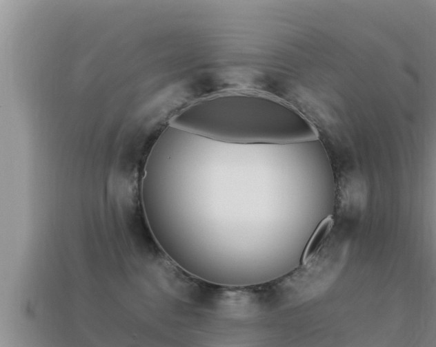 X0000113210376200909171539