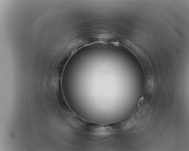 X0000113210379200909171539