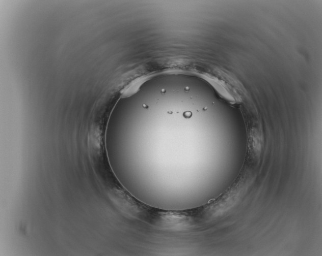 X0000113210380200909171539