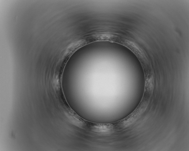 X0000113210381200909171539