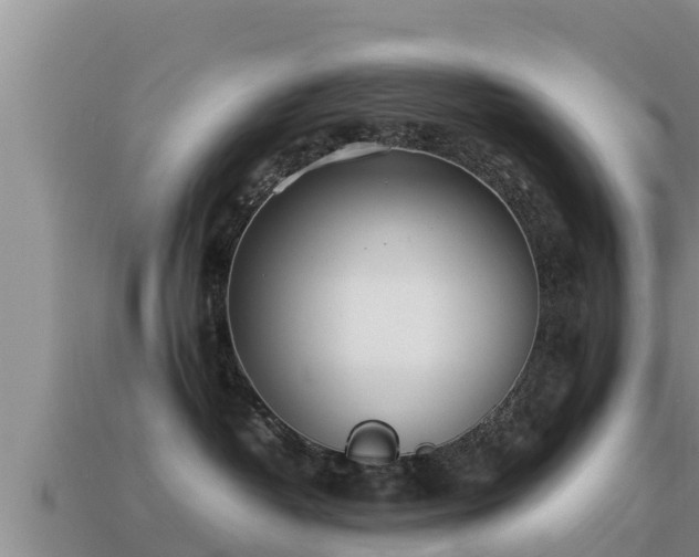 X0000113210382200909171539