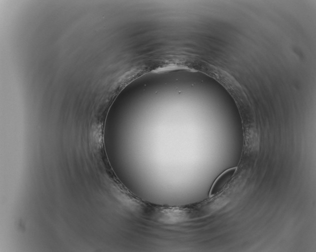 X0000113210383200909171539