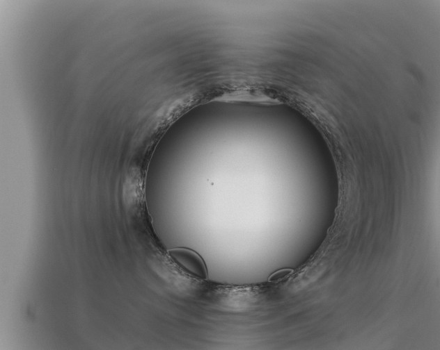 X0000113210384200909171539