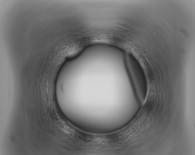 X0000113210385200909171539