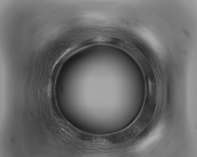 X0000113210387200909171539