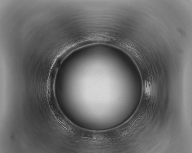 X0000113210388200909171539