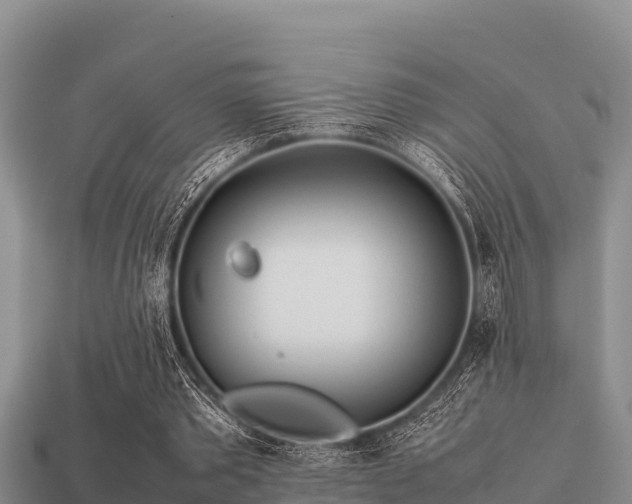 X0000113210389200909171539